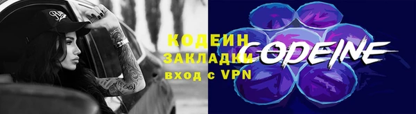 дживик Снежногорск