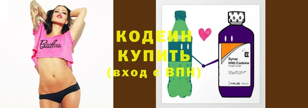 дживик Снежногорск