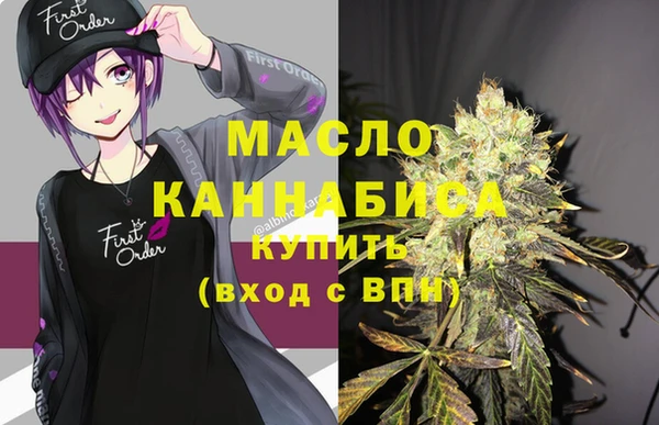 дживик Снежногорск